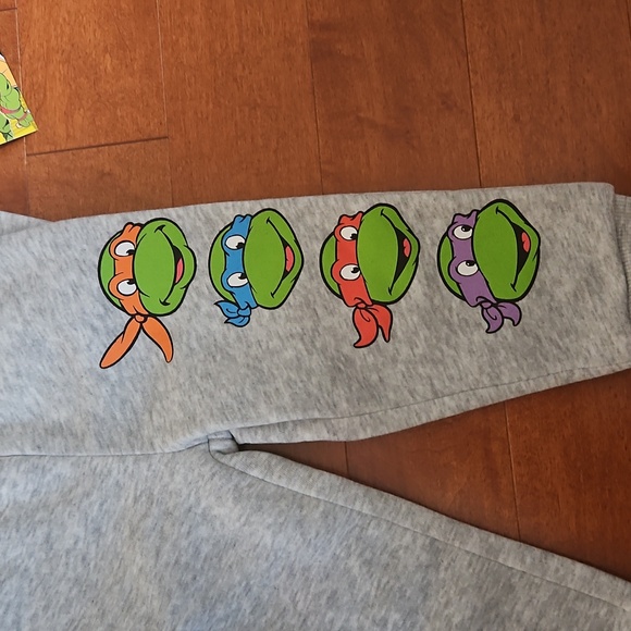 Nwt Teenage Mutant Ninja Turtles Gray Hoodie and Pants Set - Picture 2 of 5